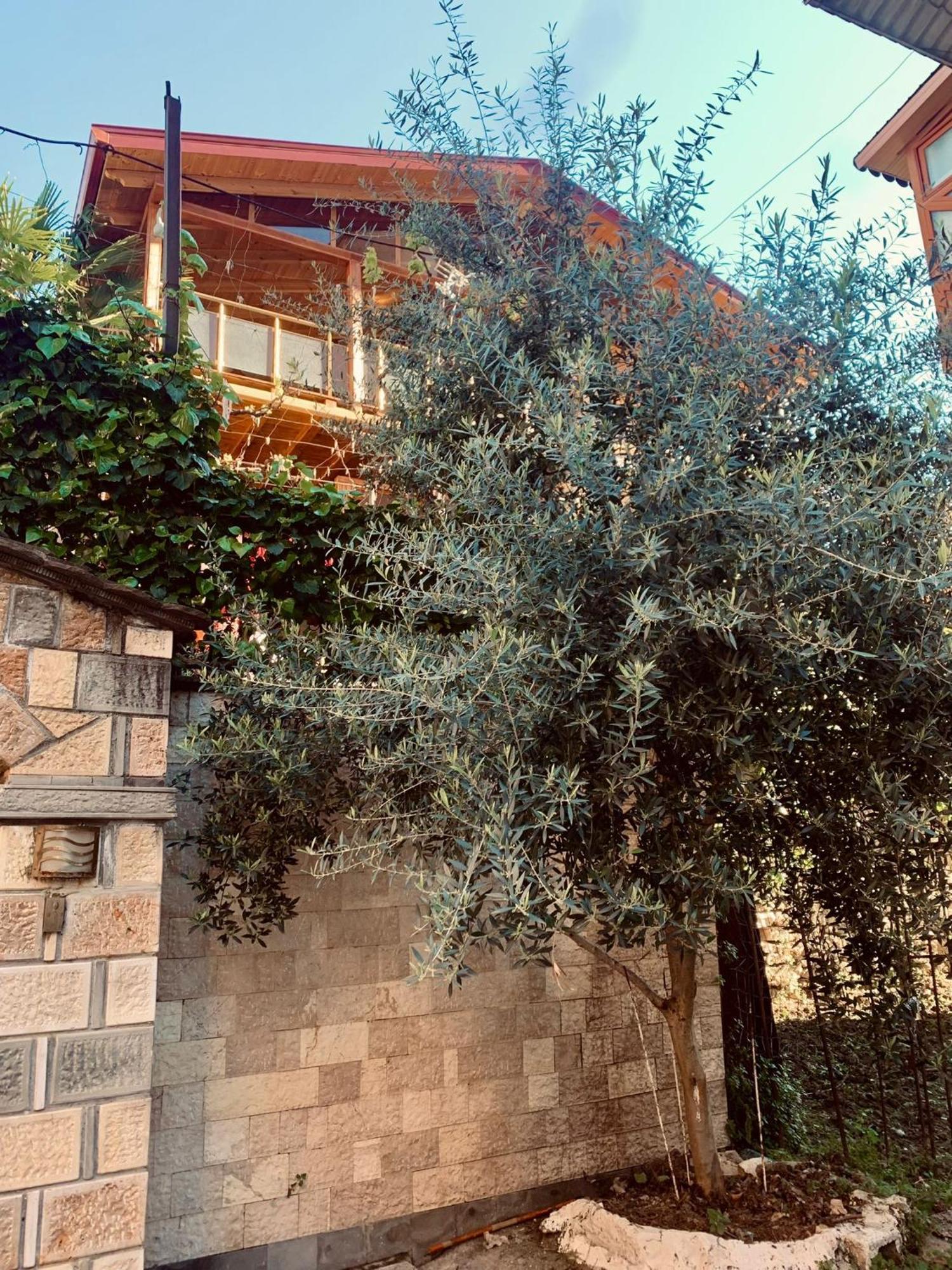 בראט Alimeti Guesthouse מראה חיצוני תמונה