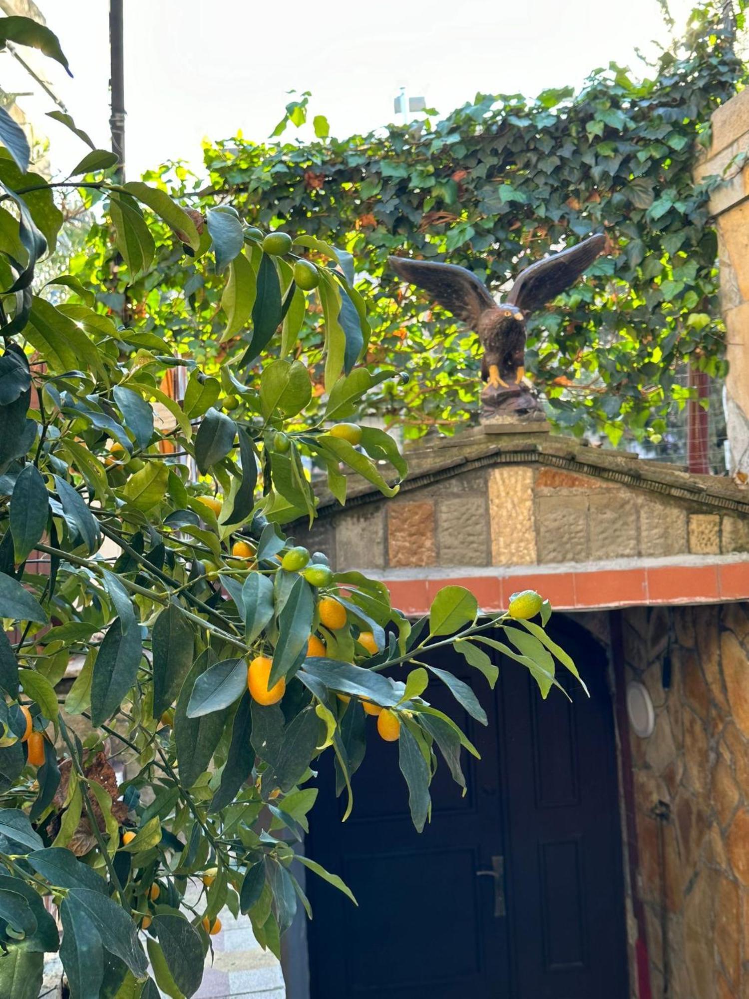 בראט Alimeti Guesthouse מראה חיצוני תמונה